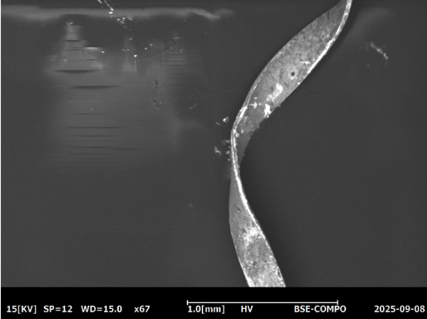 Filamento metallico colore oro bianco, analisi SEM-EDX
